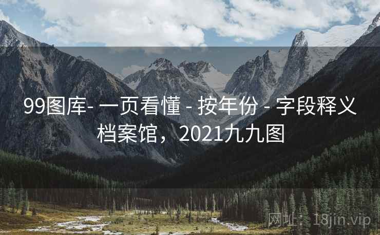 99图库- 一页看懂 - 按年份 - 字段释义档案馆，2021九九图